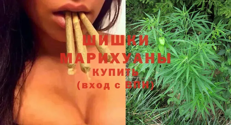 Каннабис SATIVA & INDICA  даркнет сайт  Арсеньев 